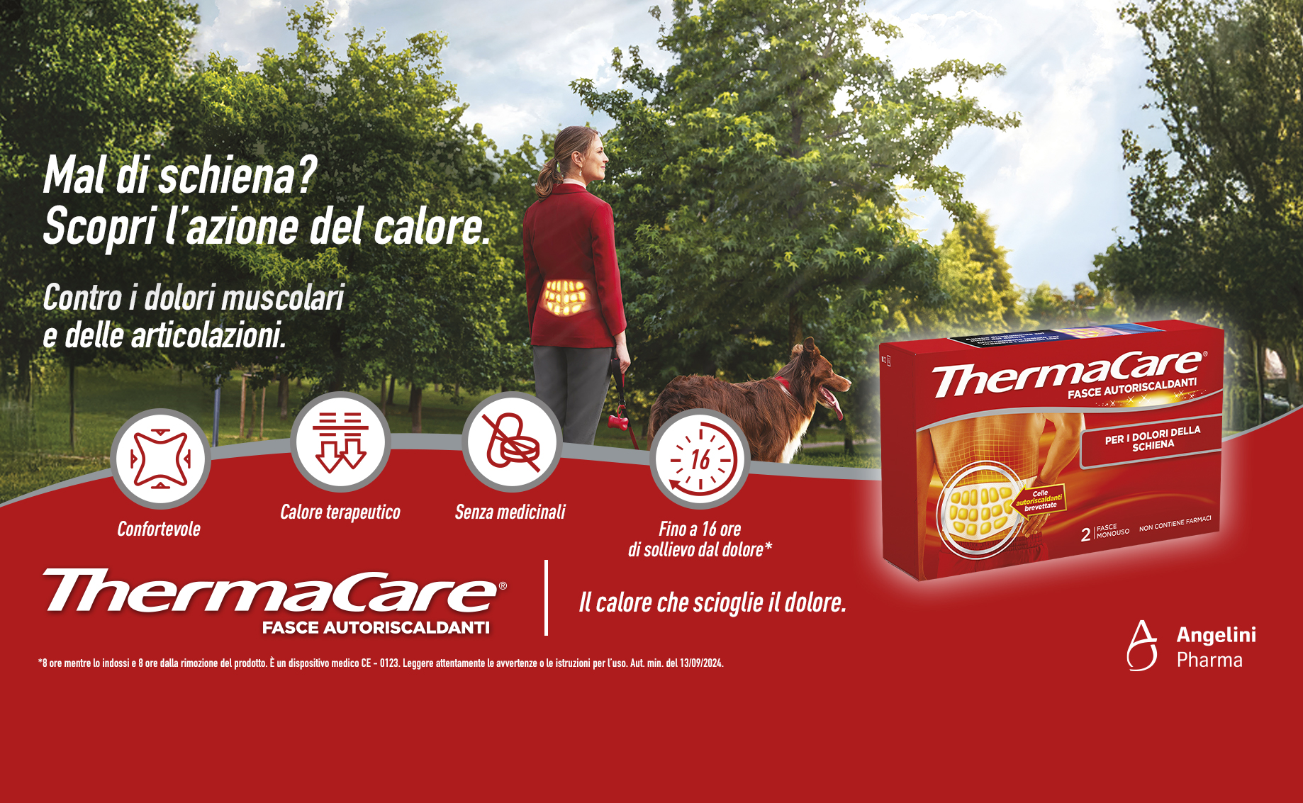ThermacareBanner